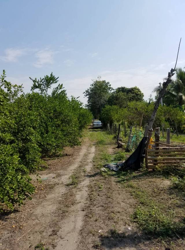 EXCELENTE LOTE 6536M2 LIMON TAHITI SECTOR LA ARENOSA