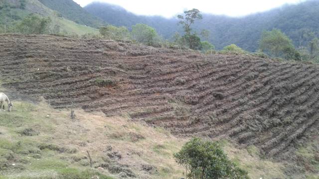 SE VENDE O SE PERMUTA PROPIEDAD CON GRAN EXTENSIÓN DE TIERRA