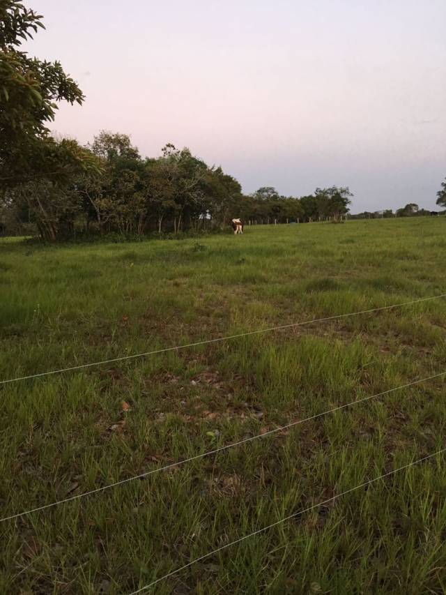 VENTA DE FINCA GANADERA EN PUERTO GAITAN-META