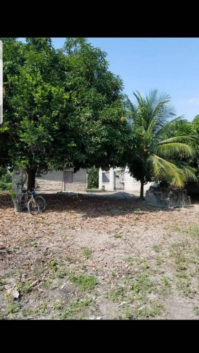 VENTA DE LOTE EN SALDAÑA TOLIMA