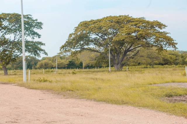 OPORTUNIDAD EN BOSCONIA CESAR - LOTES PARA VIVIENDA CAMPESTRE