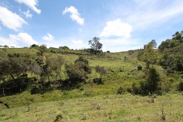 Lote en Guarne, vereda Toldas