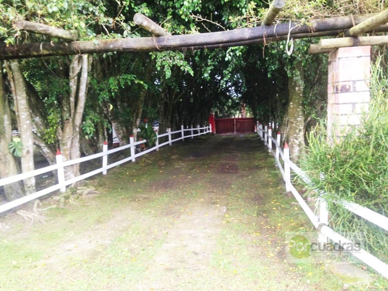 FINCA VIA SAN ANTONIO LA CEJA