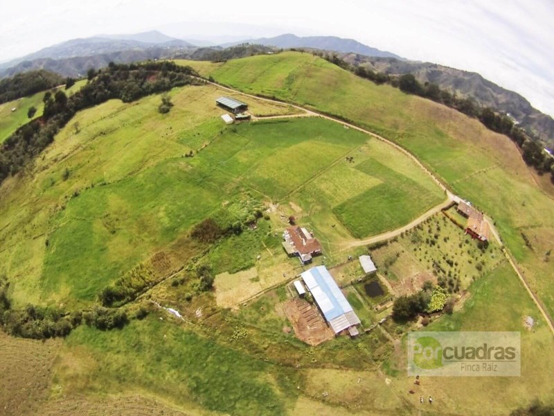 FINCA LA CEJA VIA ABEJORRAL