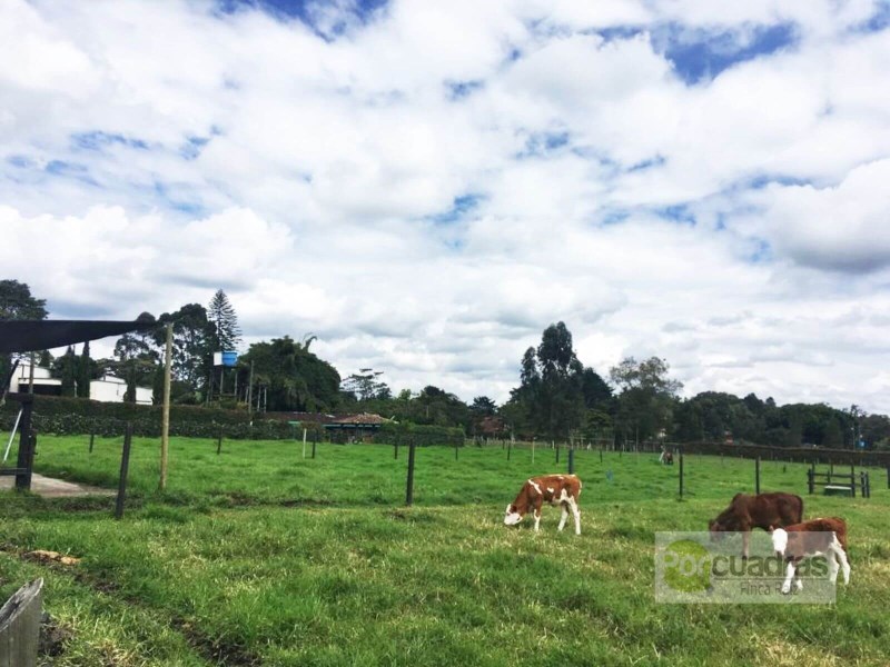 LOTE EN LLANOGRANDE - RIONEGRO