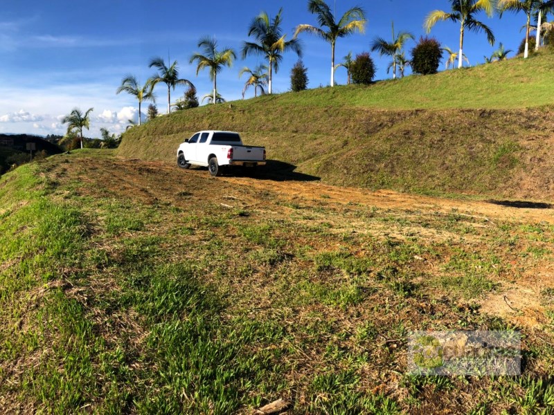 LOTE EN EL CARMEN DE VIBORAL