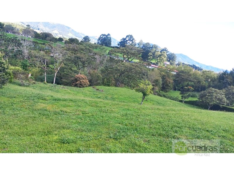 LOTE VIA SAN ANTONIO - LA CEJA