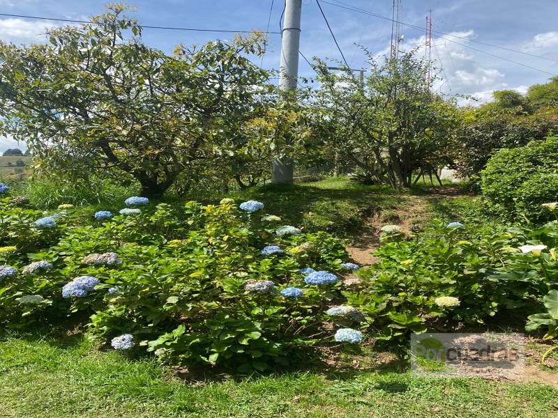 FINCA MUY CERCA AL RETIRO