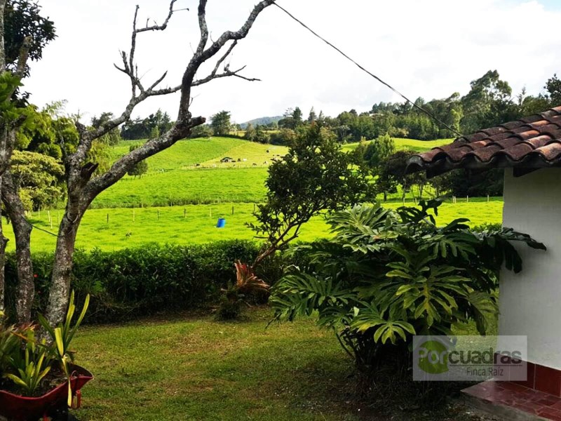 FINCA VIA LLANOGRANDE -CABECERAS