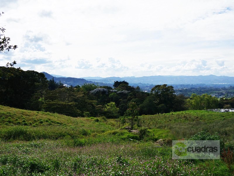 FINCA VIA SAN ANTONIO LA CEJA