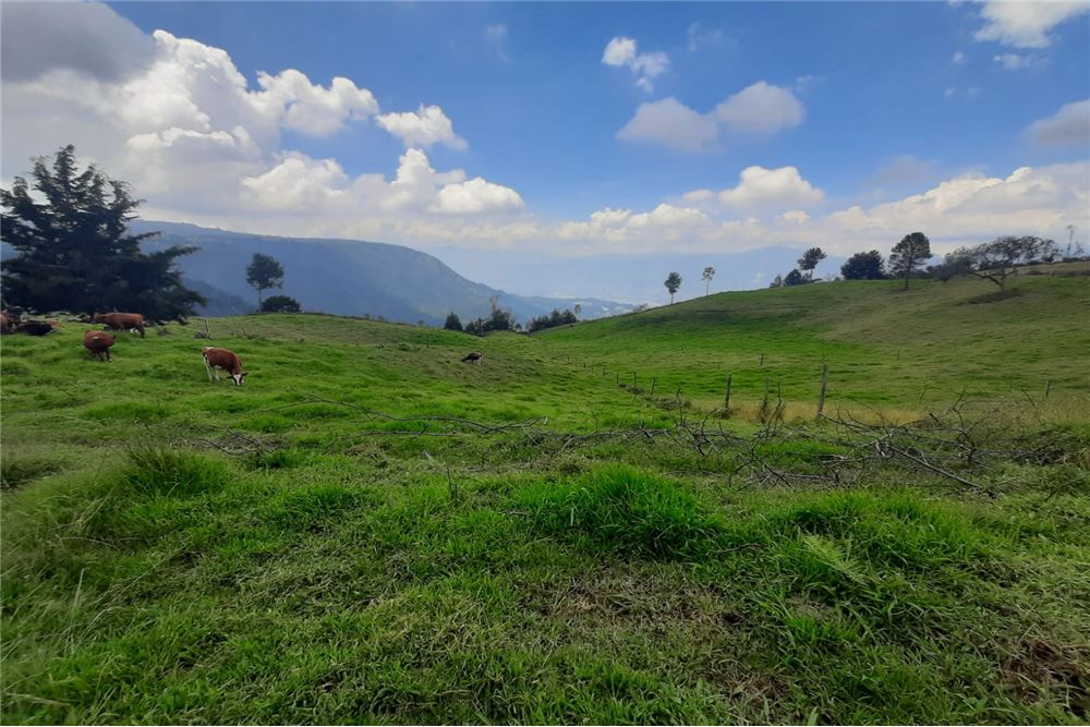 VENTA LOTE SANTA ELENA, ANTIOQUIA