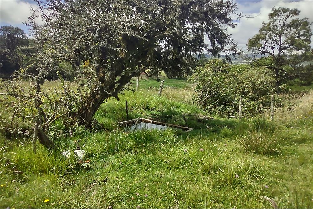 Lote Finca rural para construcción, venta 15.000 m