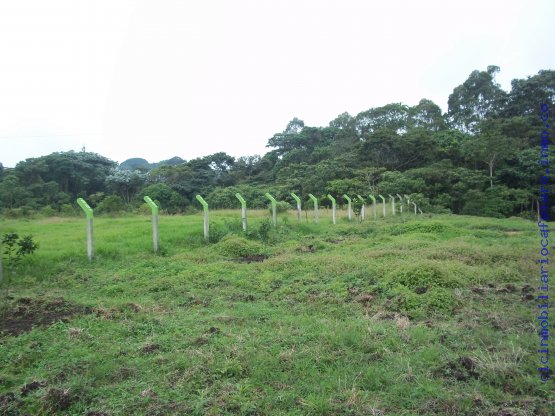 Lote Puerto Espejo - Quindío 5167