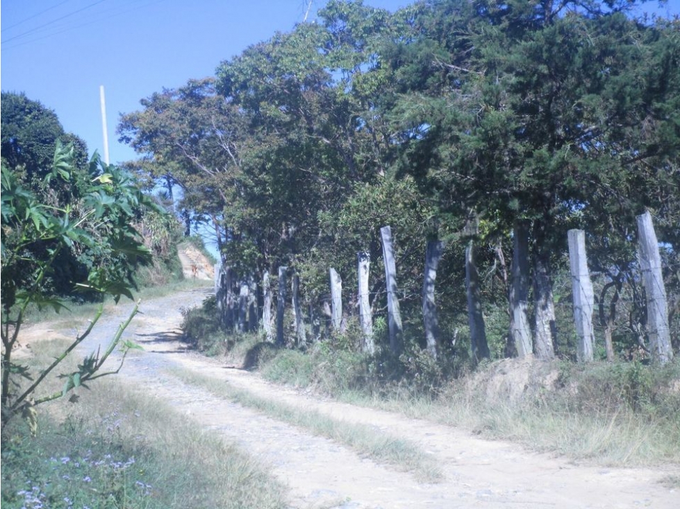 Vendo  Finca Moniquirá (Boyacá) 17 hectareas