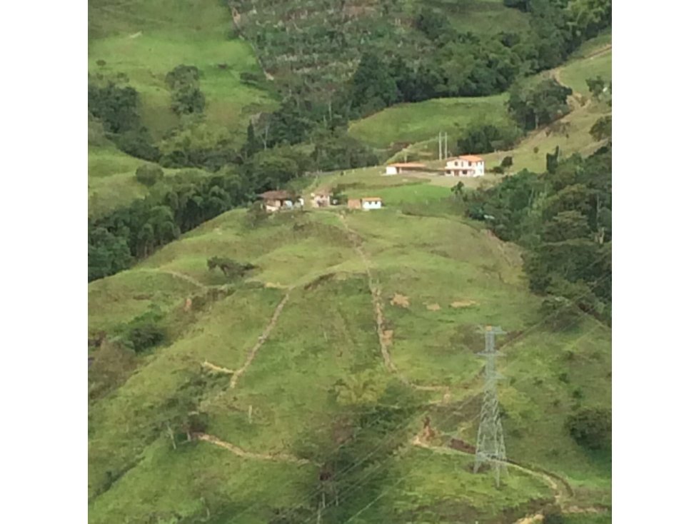 Se vende Finca en Santa Rosa de Cabal