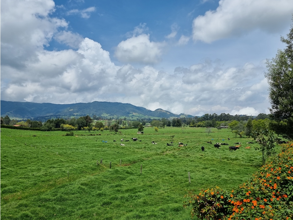 Venta Lote San Pedro Antioquia