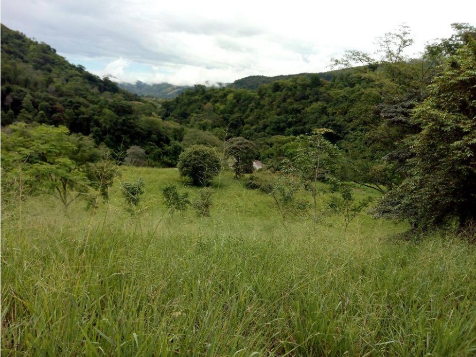 VENDO O PERMUTO FINCA GANADERA EN DURANIA