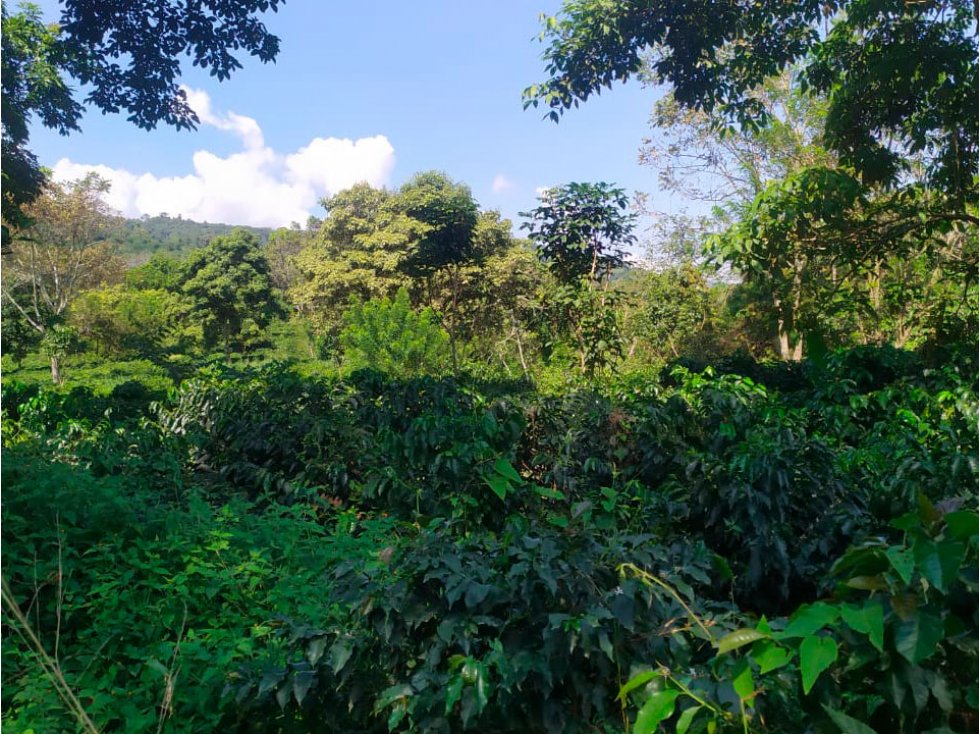 FINCA AMPLIA, PLANA Y ABUNDANTE DE AGUA EN EL SUROESTE