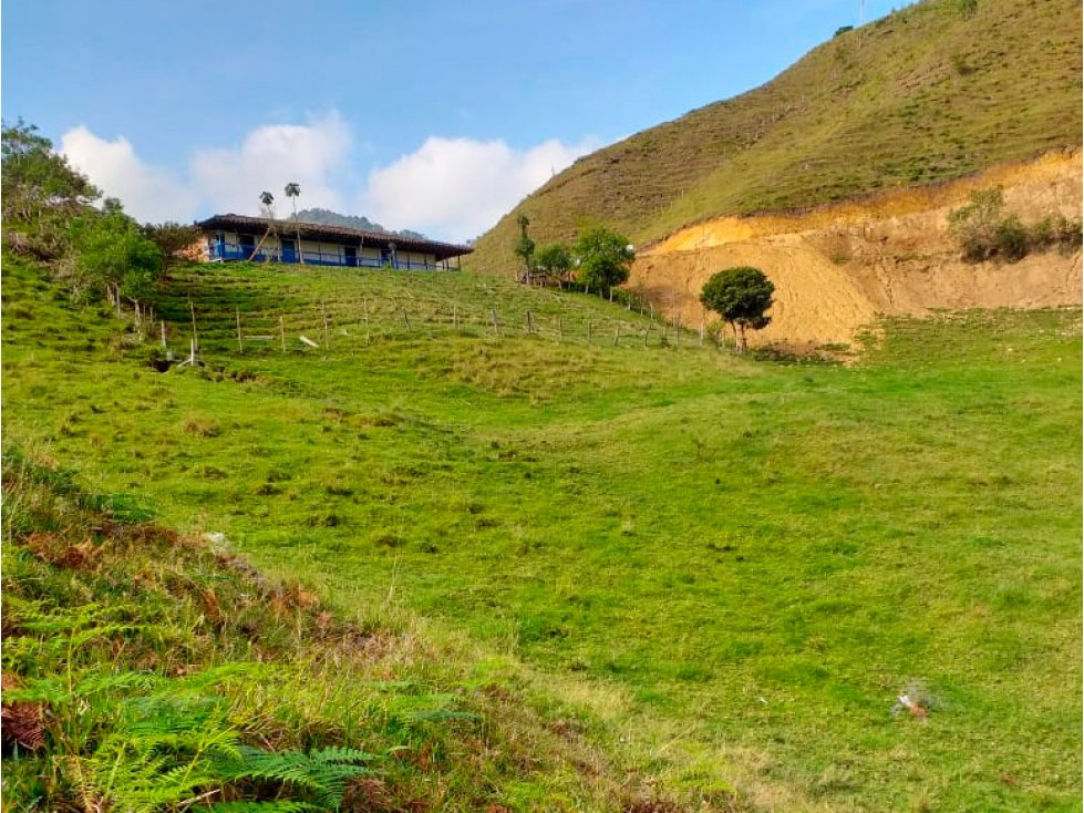 VENDO LOTE AMPLIO DE 189 Ha APTO PARA AGUACATE HASS EN AGUADAS CALDAS