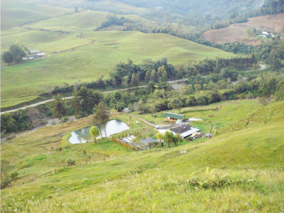 Venta Finca Sector El Popal, Manizales