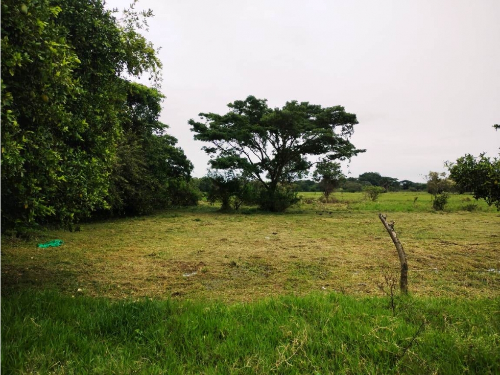 VENTA LOTE EN EL SECTOR PASO DE LA BOLSA JAMUNDI