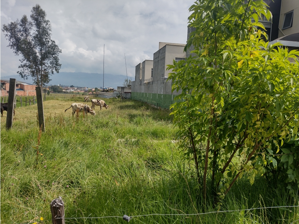 Venta Lote en Tocancipa Centro