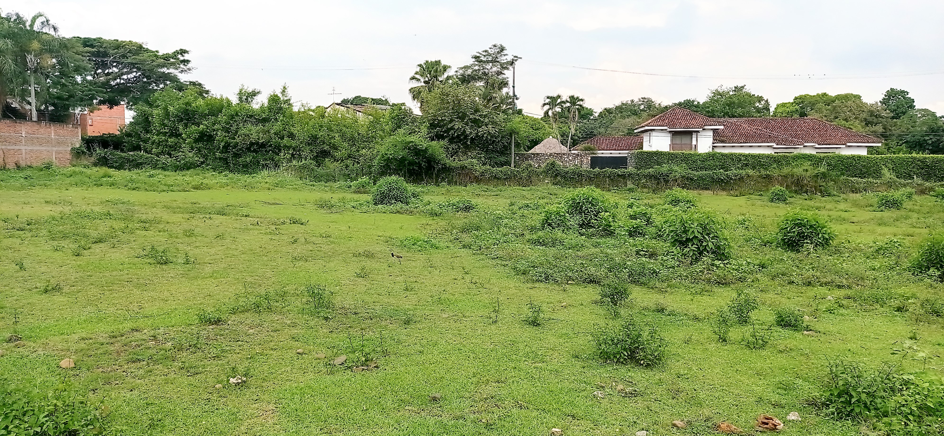 Venta de 2 Lotes Urbanos en el Sur de Cali, Pance.A