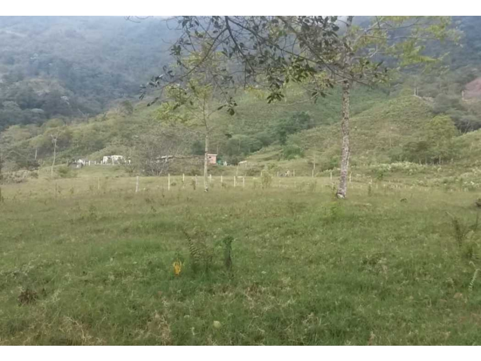 Finca en Calarca de 114 cuadras