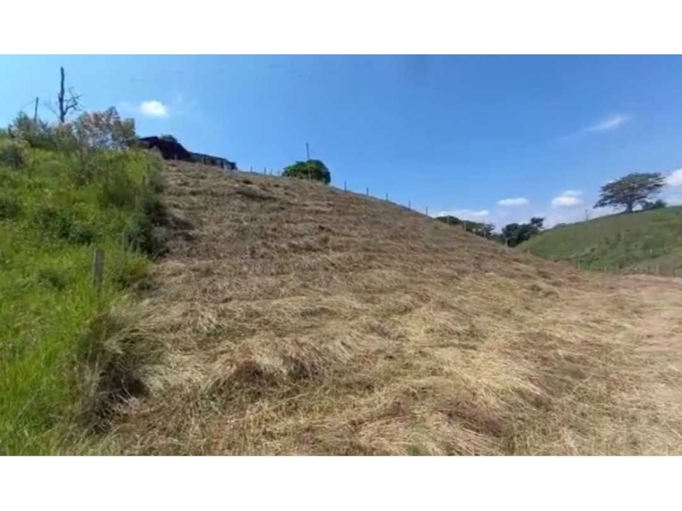 Lote en venta a 4 km de alcala vía a Cartago para casa campestre