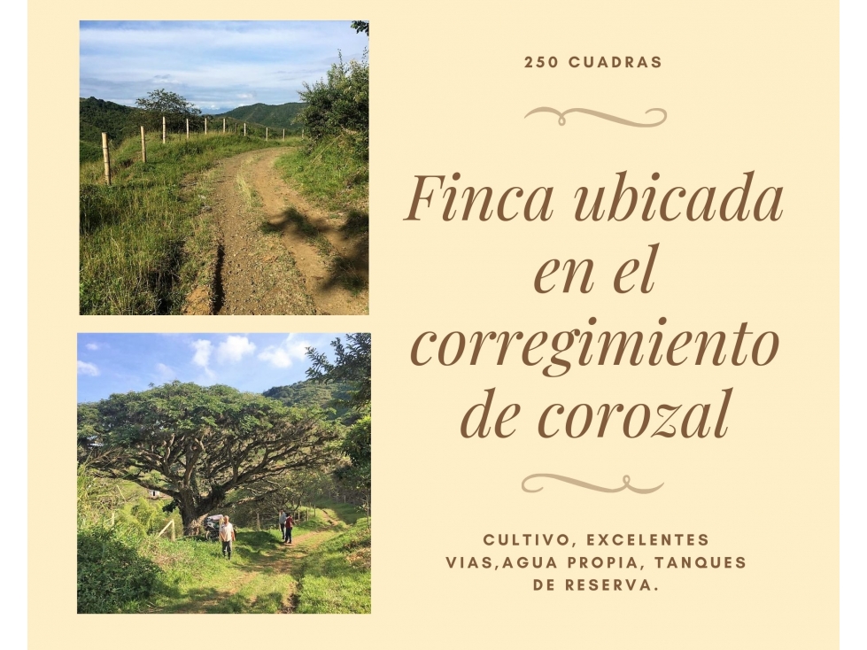 Finca ubicada en corozal con Agua propia  90620