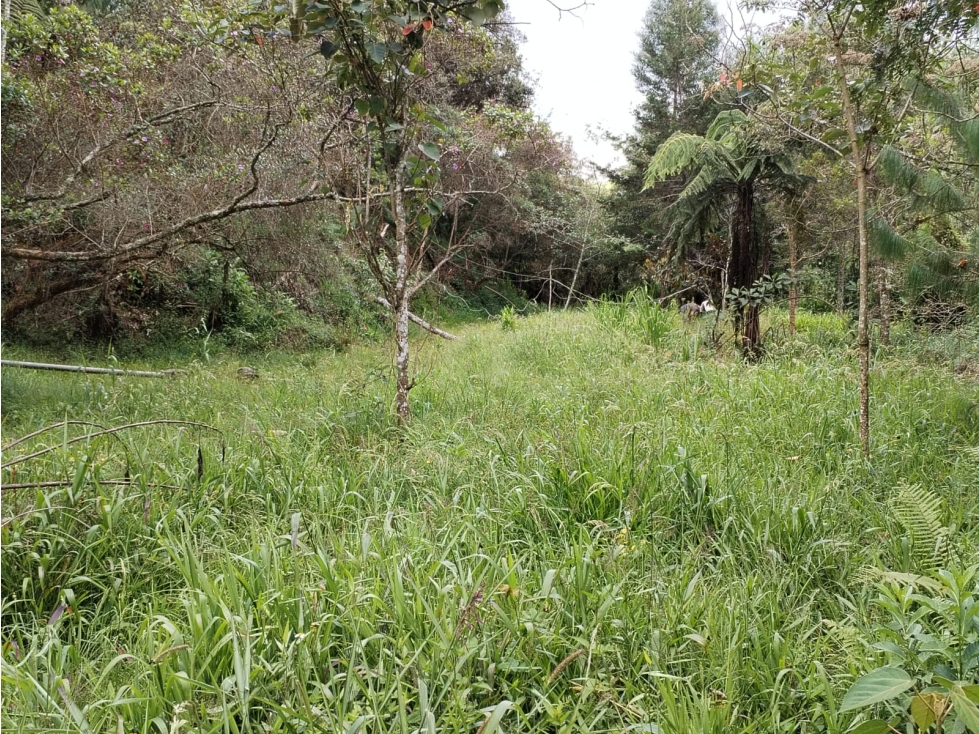 Lote para Cultivo a Gran Escala o Parcelar en San Vicente