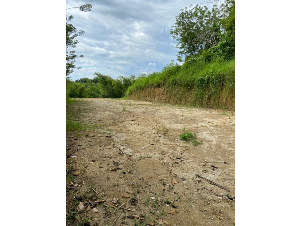 Venta Lote En Alcalá - Valle Del Cauca