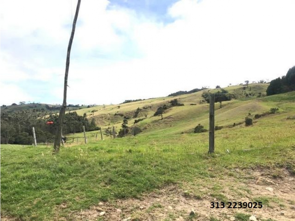 VENDO FINCA EN  SUBACHOQUE- CUNDINAMARCA (REF. F/85)