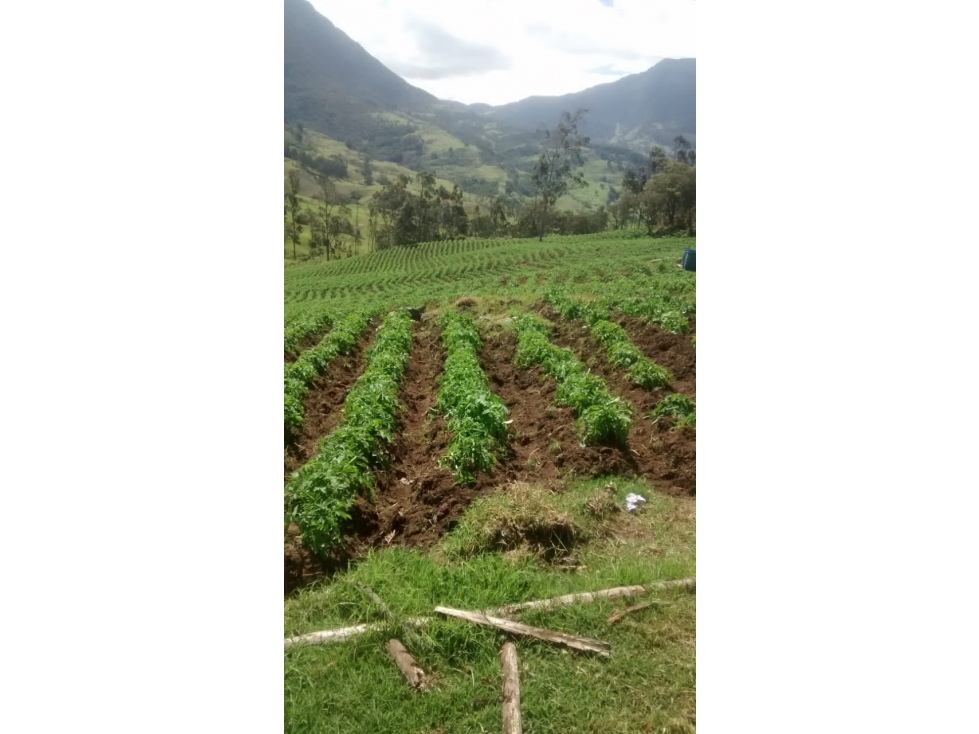 vendo finca en pacho cundinamarca de 30000 M2