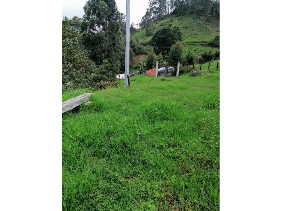 Vendo o Permuto Casa Lote en Pacho Cundinamarca de 2000 M2