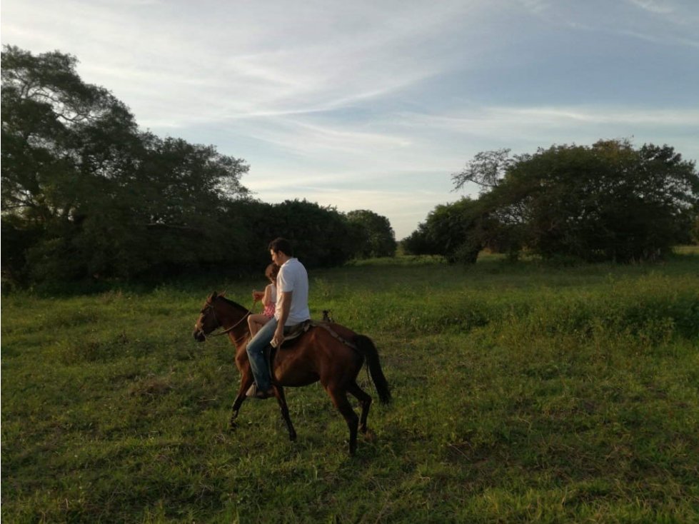 FINCA 290 HECTÁREAS - BUENA TIERRA