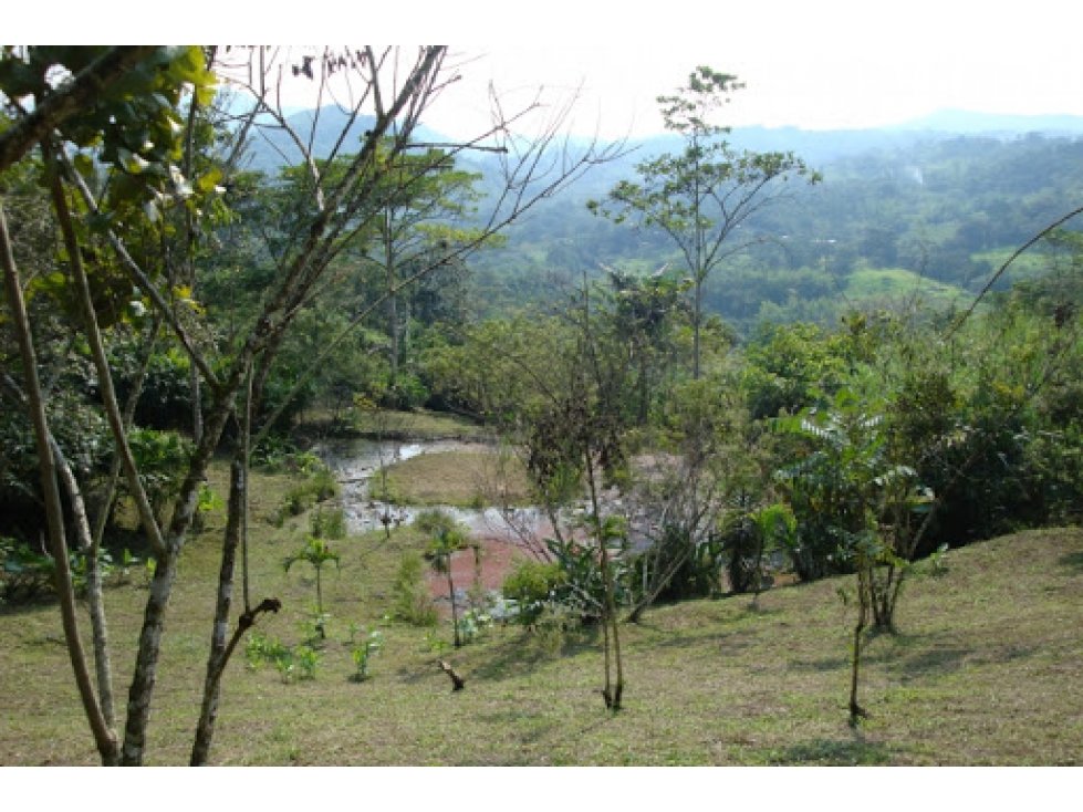 Maat Vende Lote Rio Dulce-Villeta, 18.800m2 $450Millones