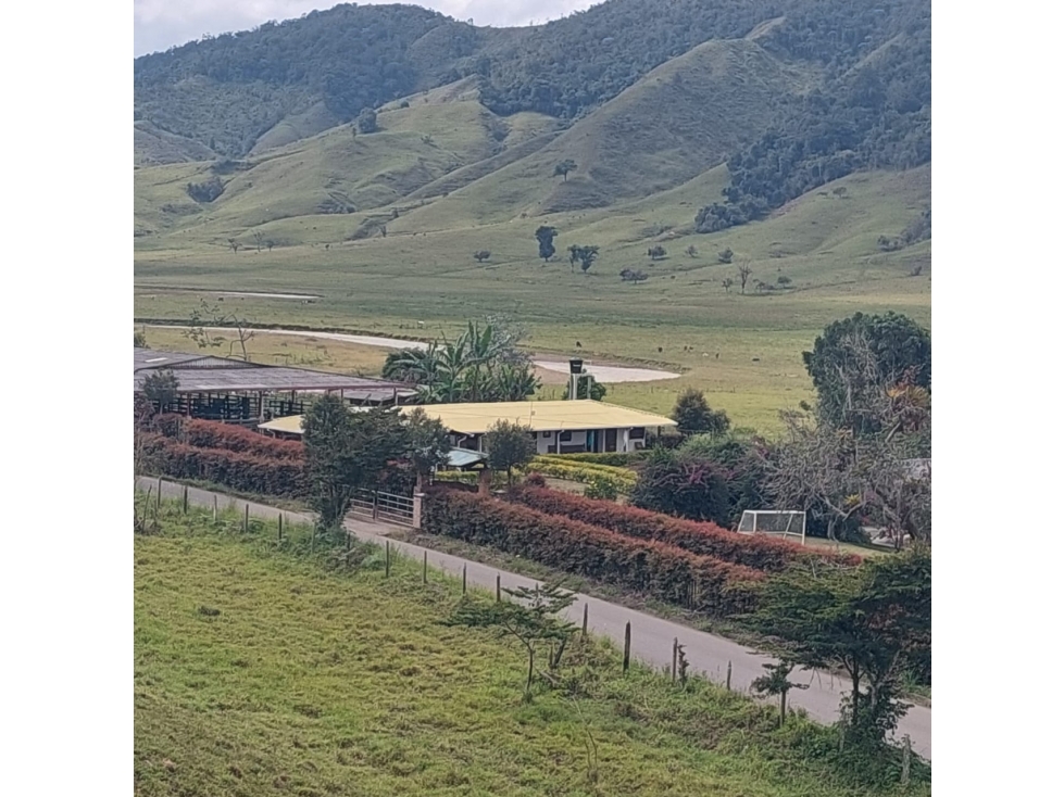 venta finca Urrao suroeste antioqueño