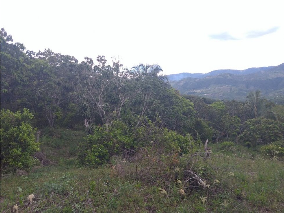 Finca con agua propia entre Anapoima - La Mesa