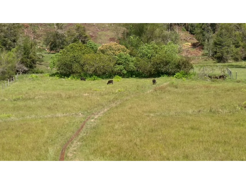 Venta de Lotes en San Vicente de Ferrer