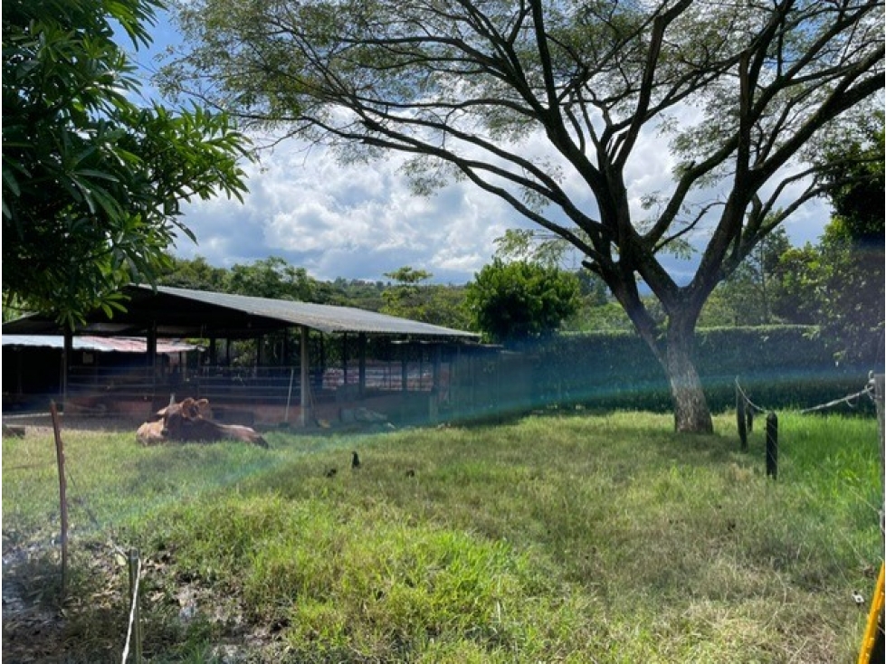 Finca venta Jamundí