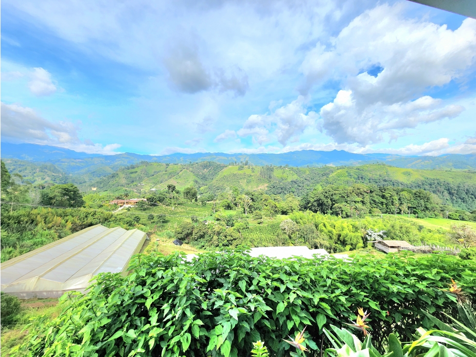 Venta de Finca en Circasia 10 cuadras