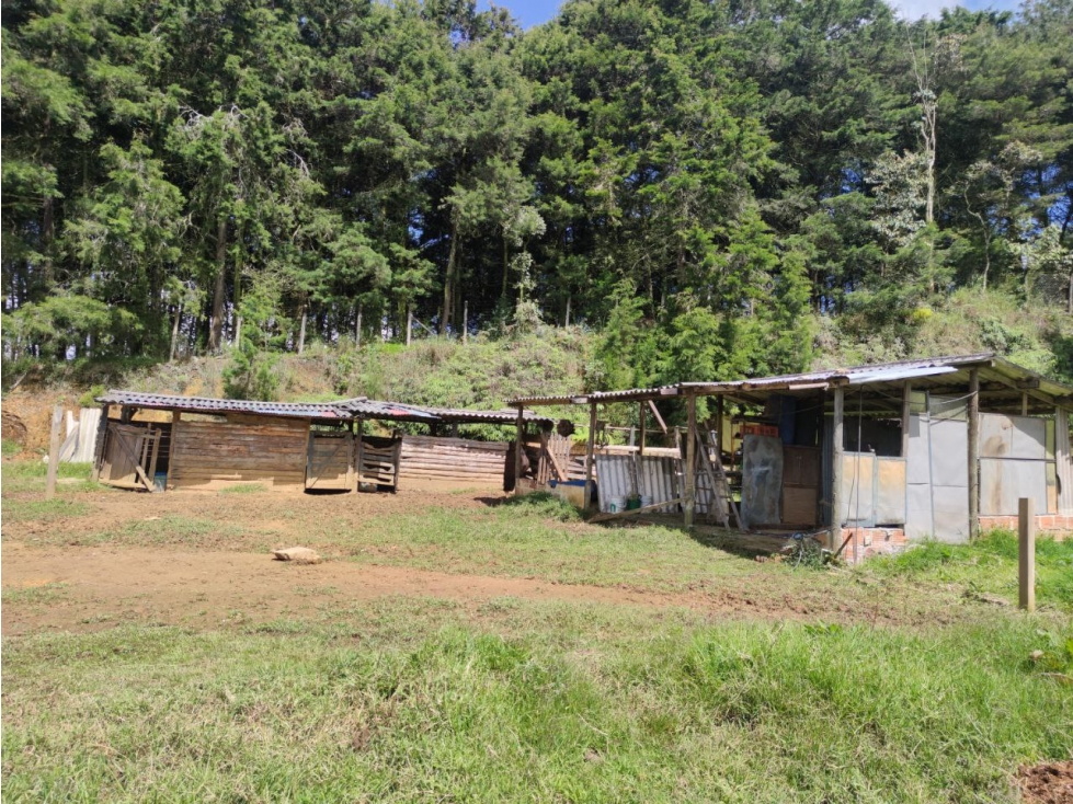 Finca en Guarne vereda Romeral