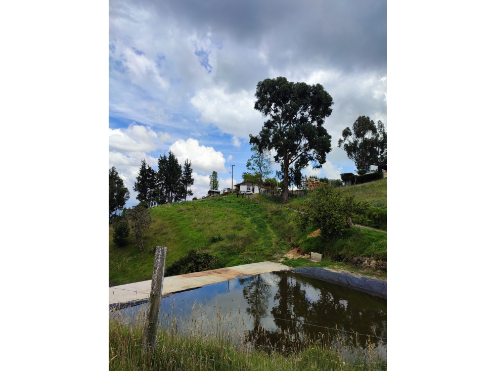 LOTE YERBABUENA CHÍA