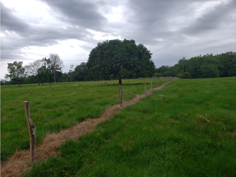 Venta Finca Cimitarra Santander