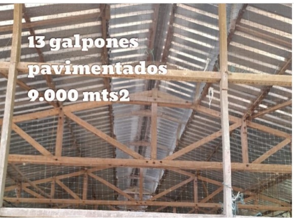 REMATO FINCA EN GALAPA