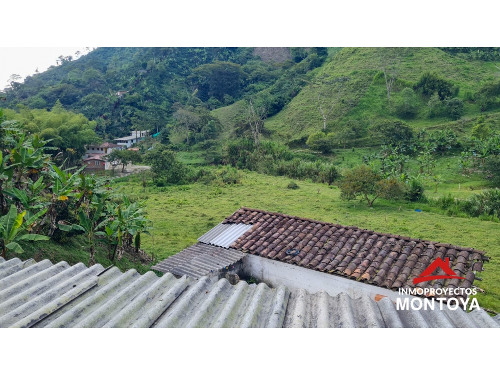 Finca productiva a 20min de Santa Rosa de Cabal, Risaralda