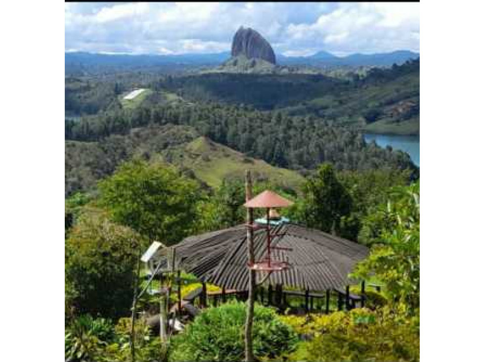 Lotes en El Peñol en Hermoso Proyecto