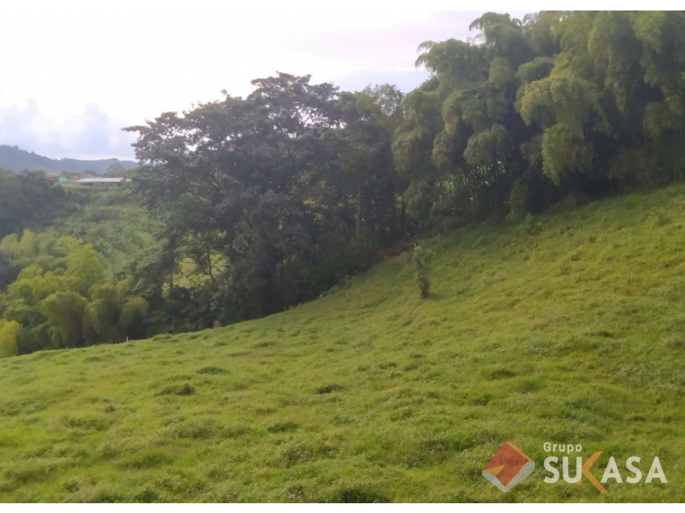 VENDO 2 LOTES DE 2.700 m² EN SANTA ROSA DE CABAL RISARALDA