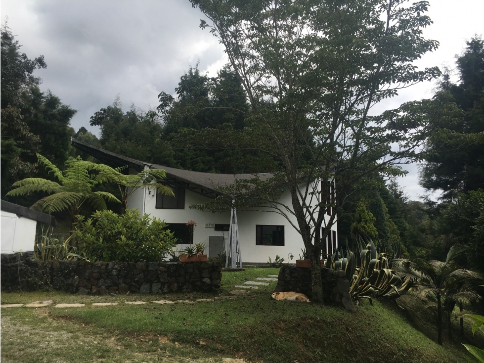 Vendo Finca en Guarne, Antioquia  Vereda san Isidro